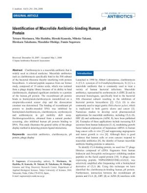 Identification of Macrolide Antibiotic-Binding Human P8 Protein