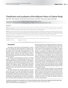 Classification and Localization of the Adductor Hiatus