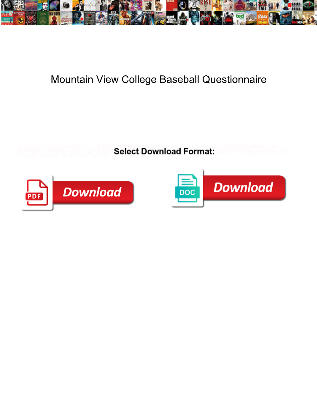 Mountain View College Baseball Questionnaire