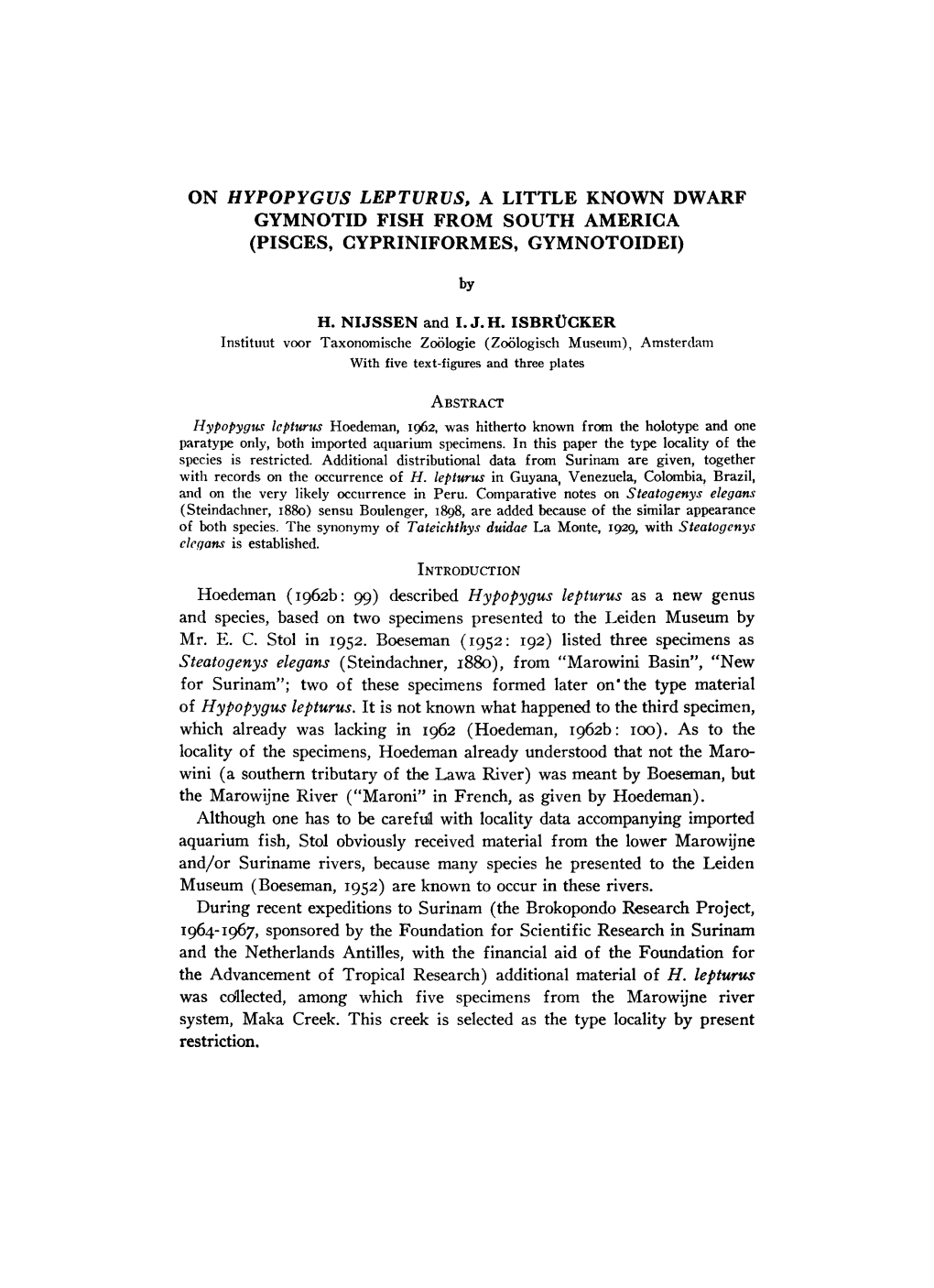 On Hypopygus Lepturus, a Little Known Dwarf Gymnotid Fish from South America (Pisces, Cypriniformes, Gymnotoidei)