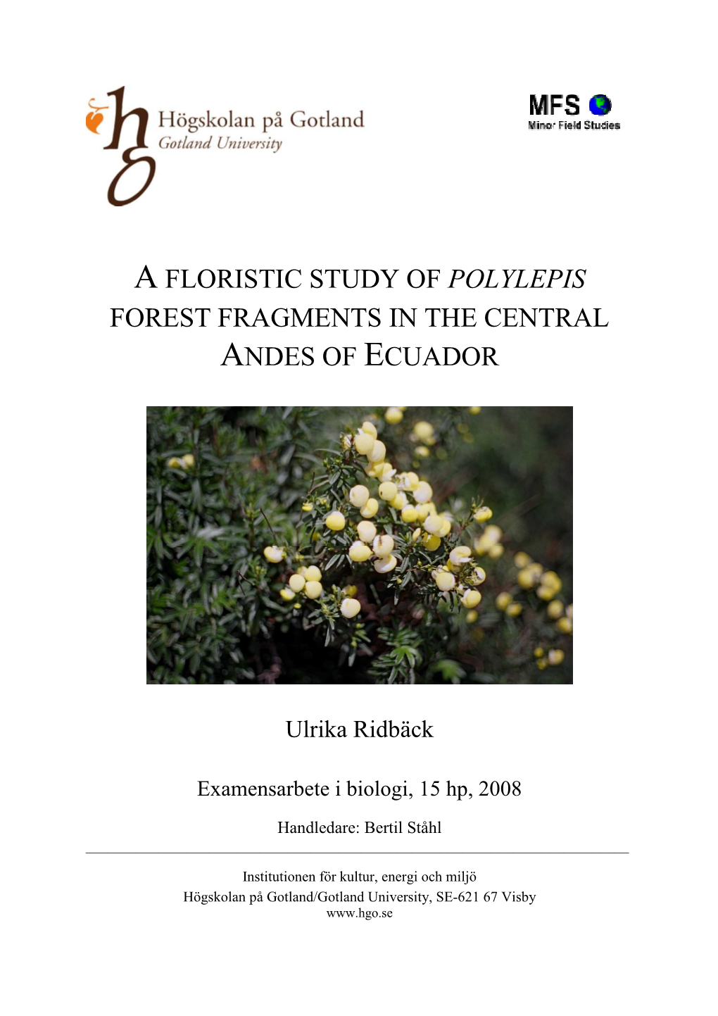 A Floristic Study of Polylepis Forest Fragments in the Central Andes of Ecuador