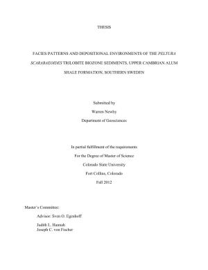 Thesis Facies Patterns and Depositional Environments