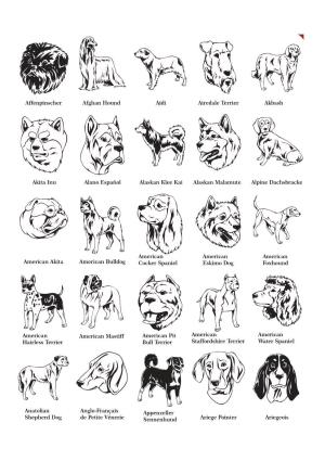 Dog Breeds Pack 1 Professional Vector Graphics Page 1