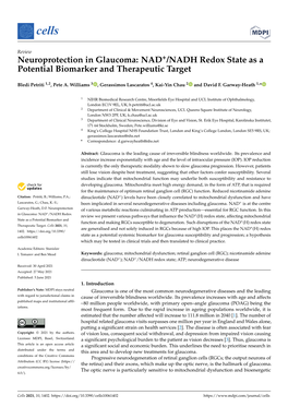 Neuroprotection in Glaucoma: NAD+/NADH Redox State As a Potential Biomarker and Therapeutic Target