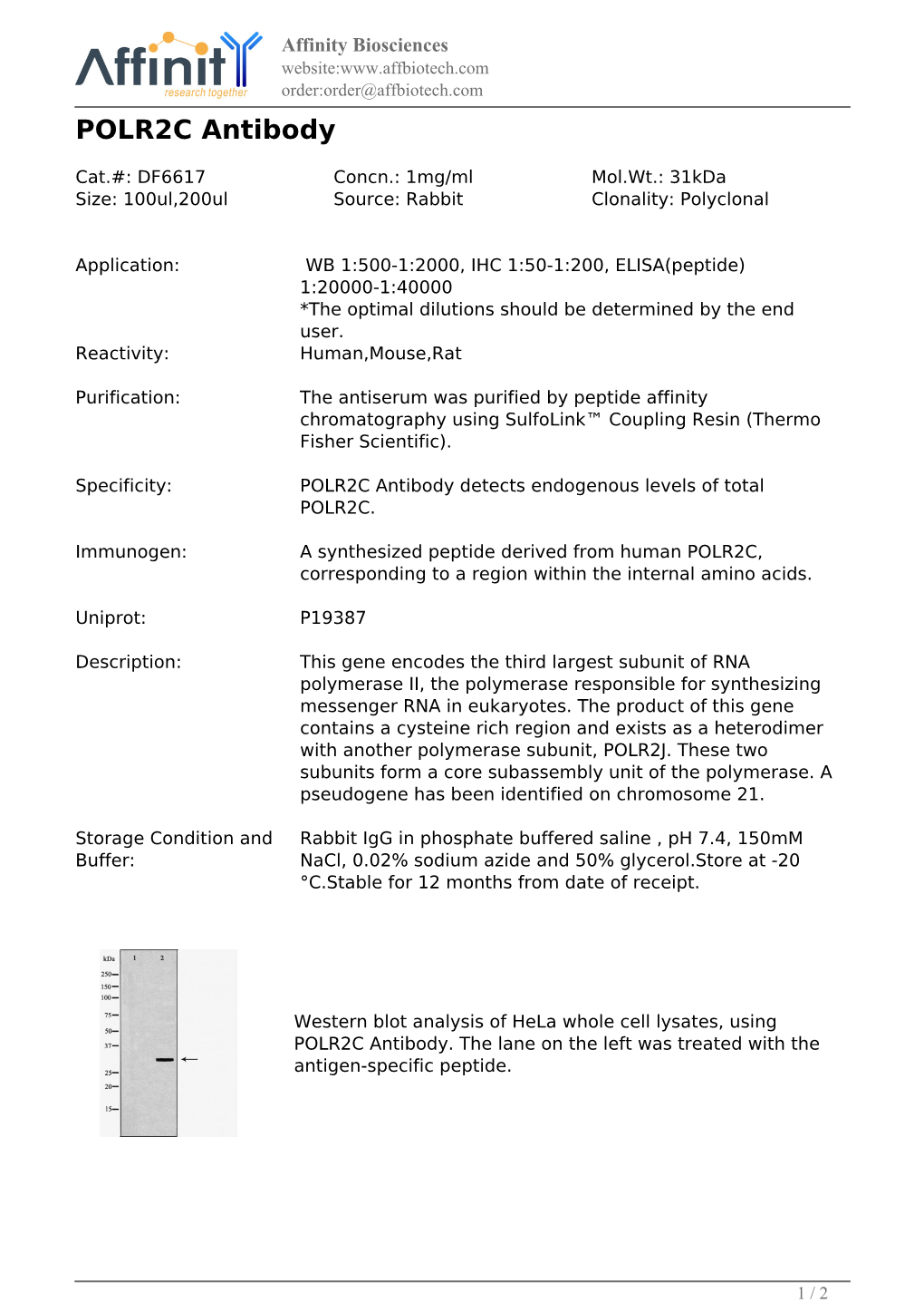 DF6617-POLR2C Antibody