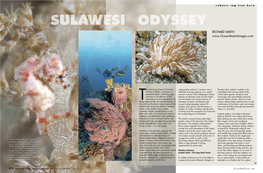 Sulawesi Odyssey.Pdf
