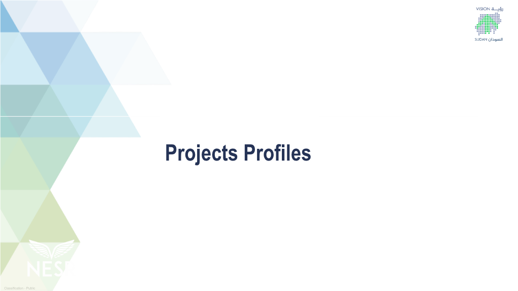 'Sudan's Projects Profiles for Paris Conference'