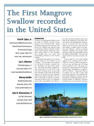 The First Mangrove Swallow Recorded in the United States