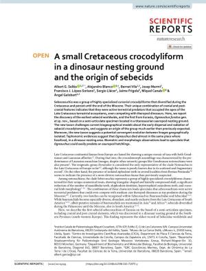 A Small Cretaceous Crocodyliform in a Dinosaur Nesting Ground and the Origin of Sebecids Albert G