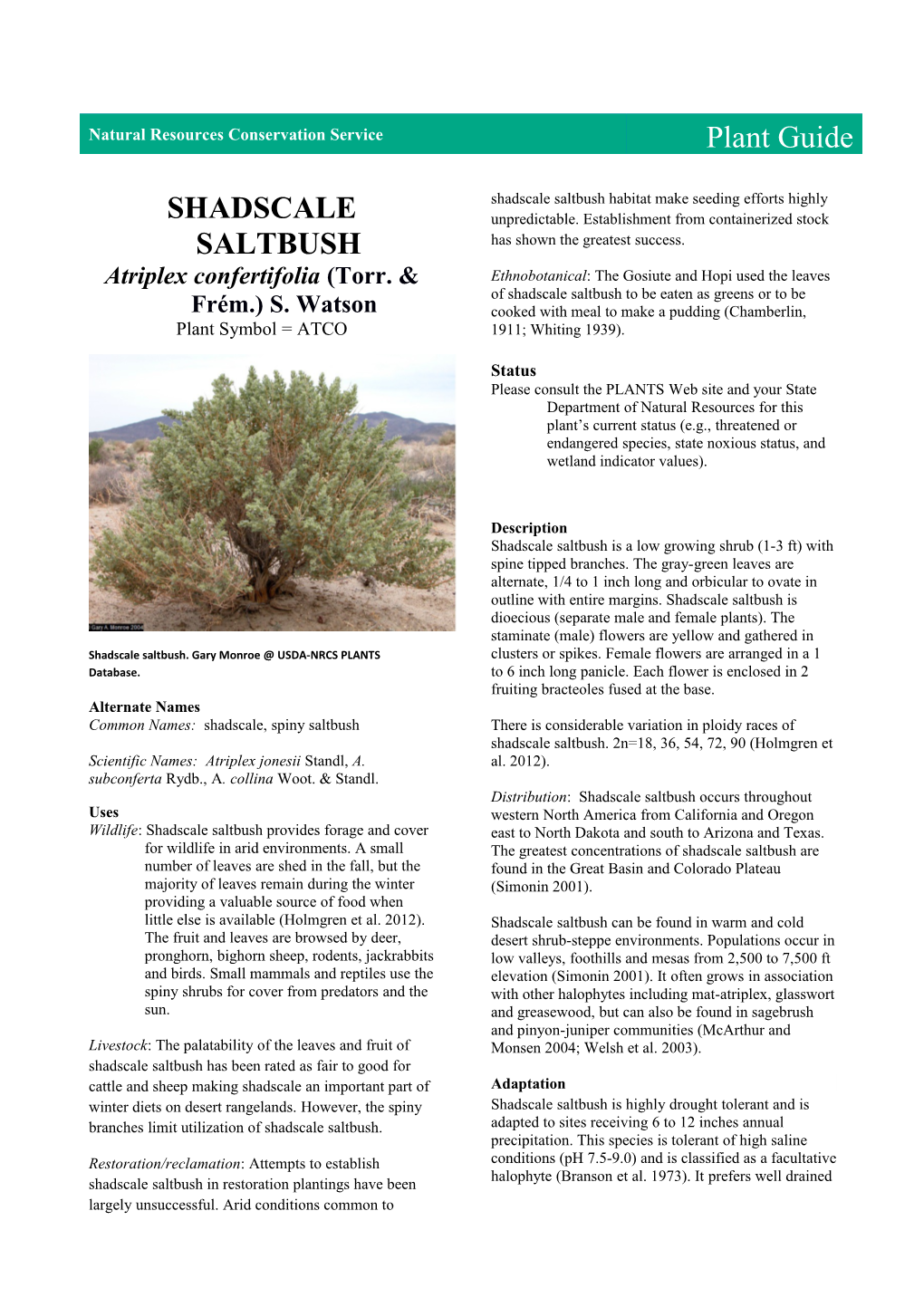 Plant Guide for Shadscale Saltbush (Atriplex Confertifolia)