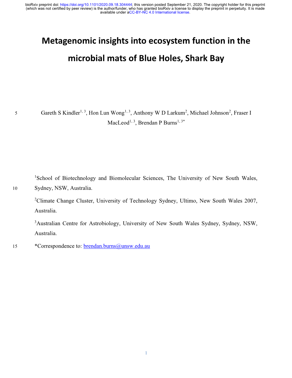 Metagenomic Insights Into Ecosystem Function in the Microbial Mats of Blue Holes, Shark Bay