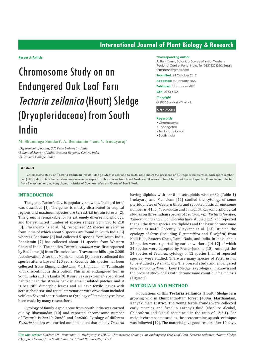 Chromosome Study on an Endangered Oak Leaf Fern Tectaria Zeilanica (Houtt) Sledge (Dryopteridaceae) from South India