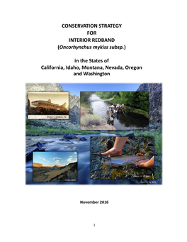 CONSERVATION STRATEGY for INTERIOR REDBAND (Oncorhynchus Mykiss Subsp.)