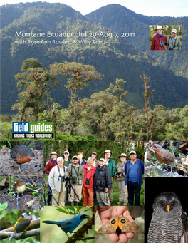 Field Guides Birding Tours: Montane Ecuador