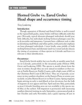 Horned Grebe Vs. Eared Grebe: Head Shape and Occurrence Timing