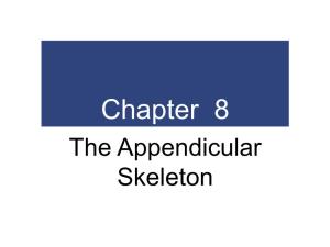 Chapter 8 the Appendicular Skeleton an Introduction to the Appendicular Skeleton