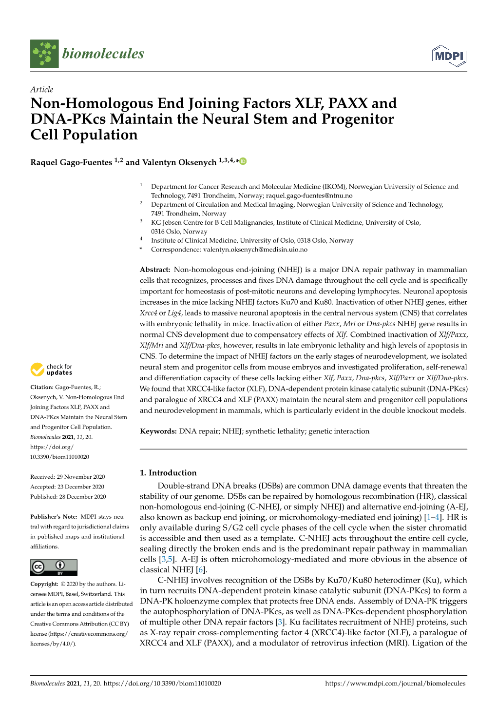 Non-Homologous End Joining Factors XLF, PAXX and DNA-Pkcs Maintain the Neural Stem and Progenitor Cell Population