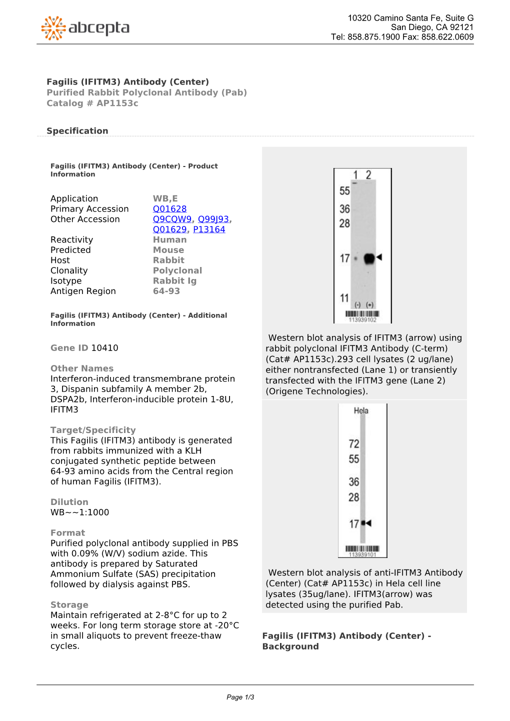 (IFITM3) Antibody (Center) Purified Rabbit Polyclonal Antibody (Pab) Catalog # Ap1153c