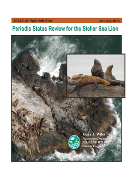 Periodic Status Review for the Steller Sea Lion
