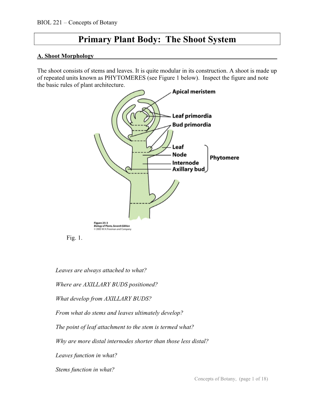 Primary Plant Body: the Shoot System