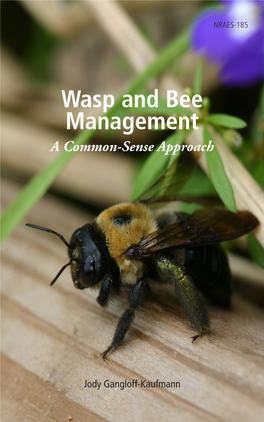 Wasp and Bee Management a Common-Sense Approach