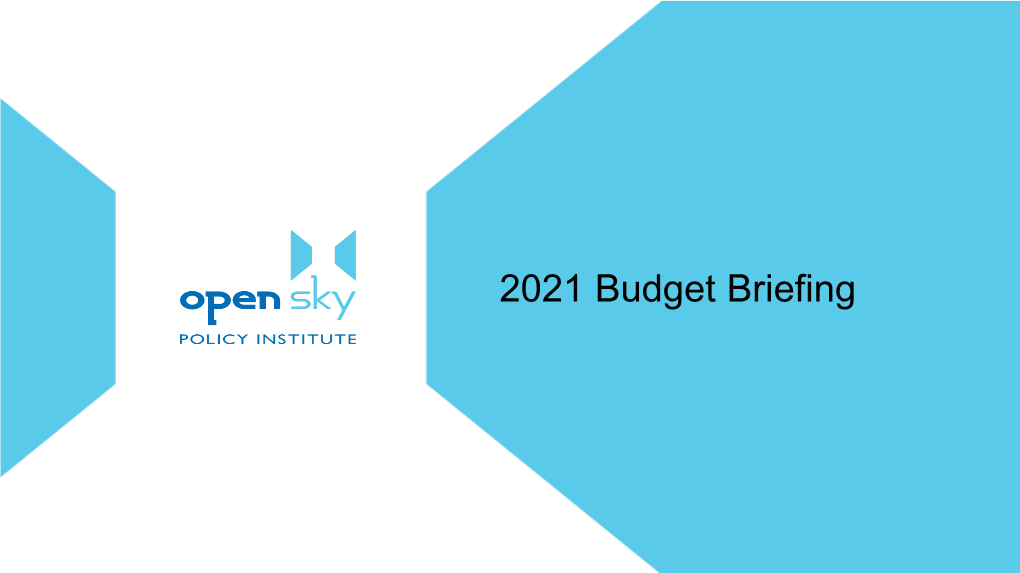 2021 Budget Briefing