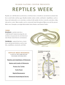 Reptiles Week