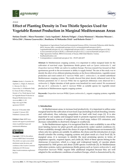 Effect of Planting Density in Two Thistle Species Used for Vegetable Rennet Production in Marginal Mediterranean Areas