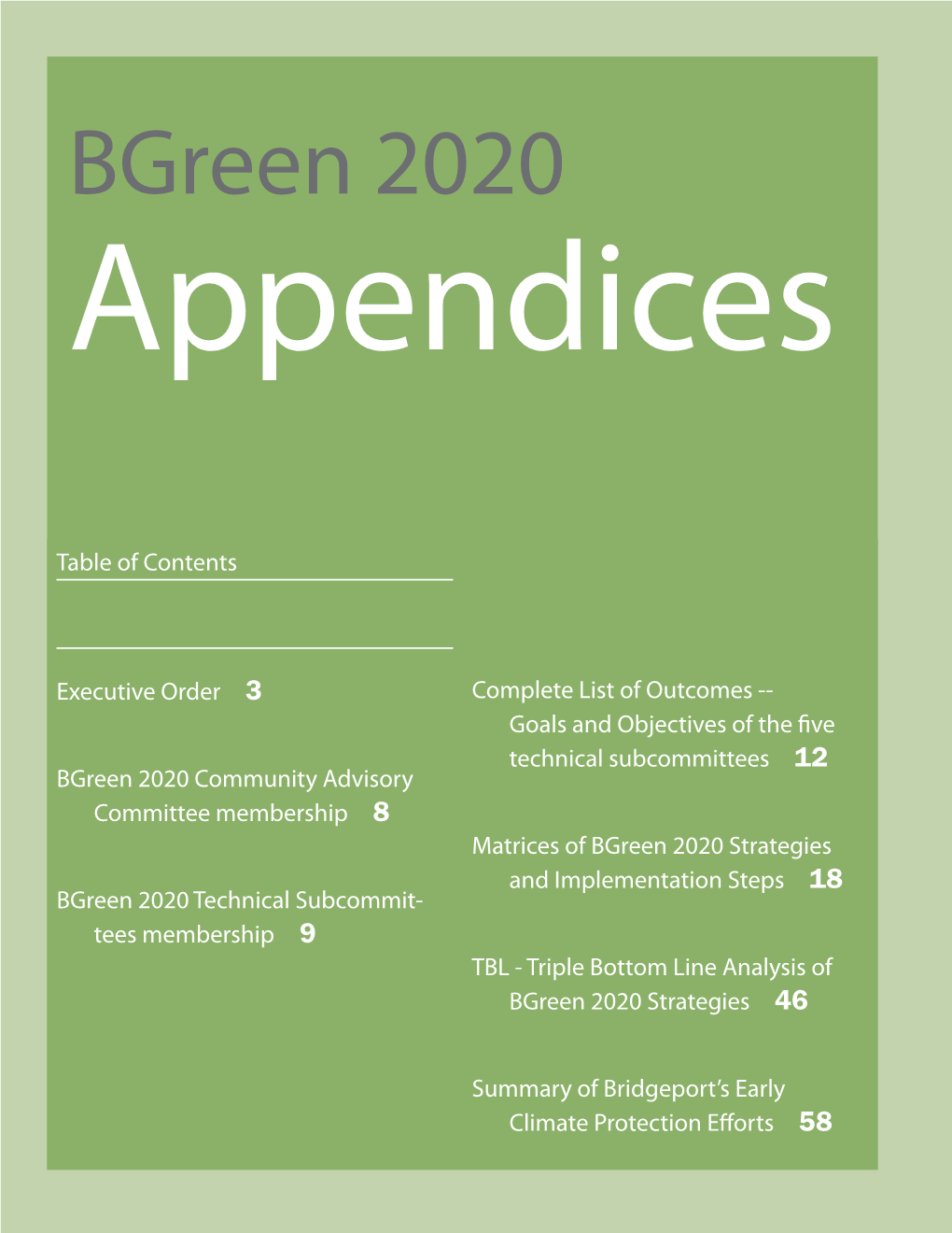 Bgreen 2020 Appendices