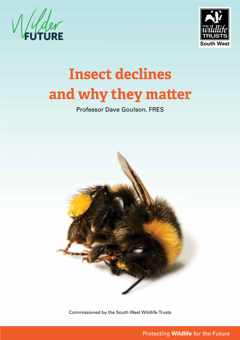 Insect Declines and Why They Matter Professor Dave Goulson, FRES