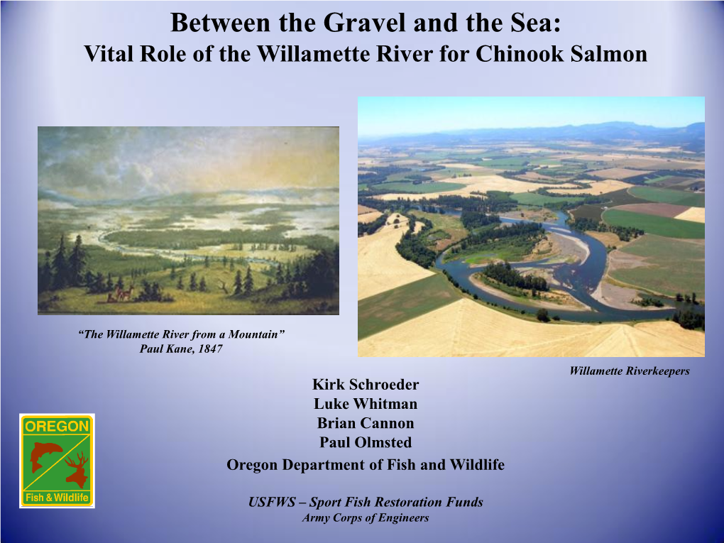 Vital Role of the Willamette River for Chinook Salmon