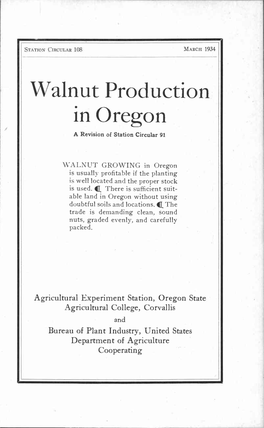 Walnut Production in Oregon a Revision of Station Circular 91