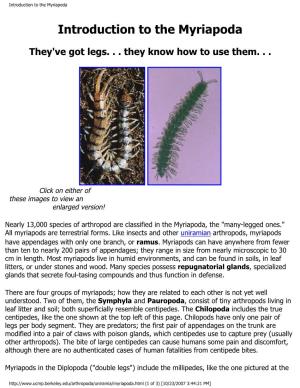 Introduction to the Myriapoda