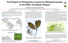 Rhizophora Racemosa (Rhizophoraceae) in the Wider Caribbean Region