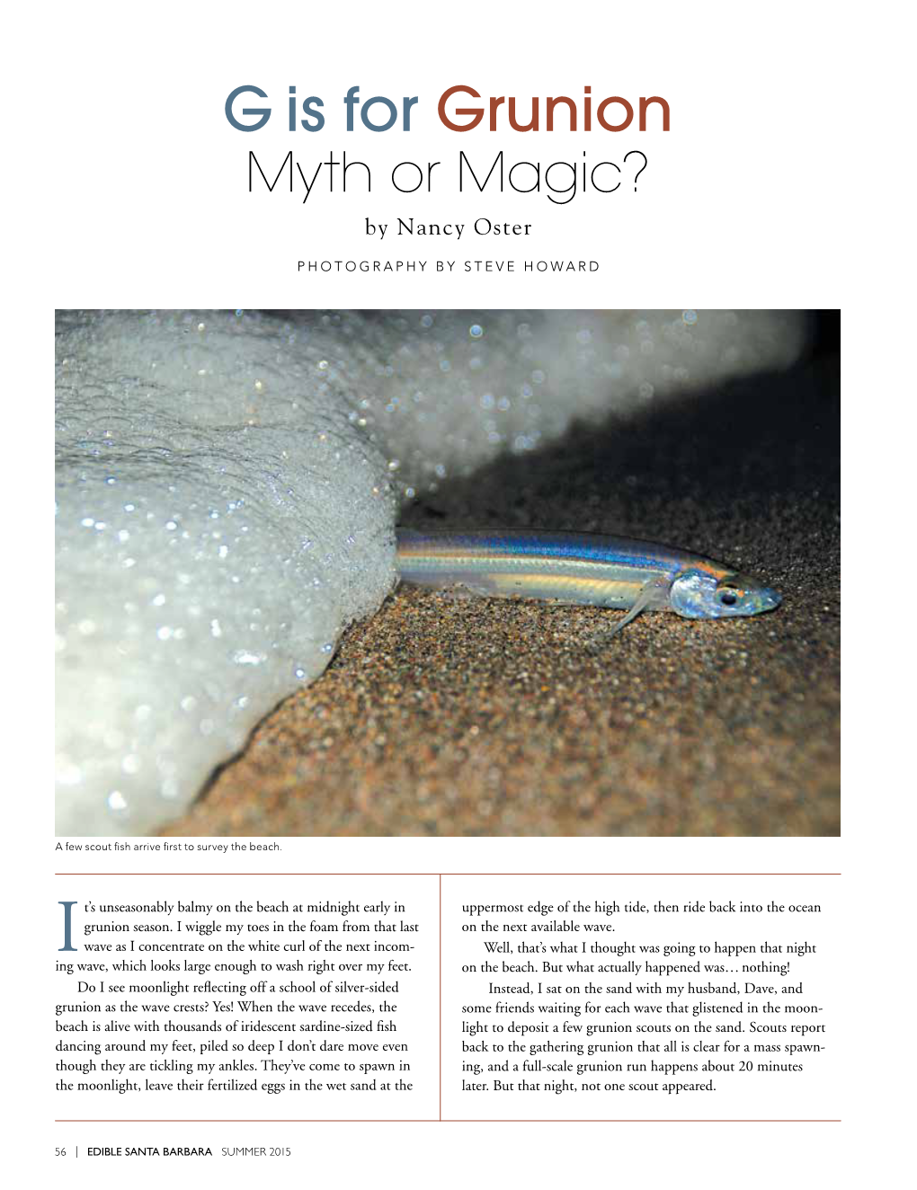 G Is for Grunion: Myth Or Magic