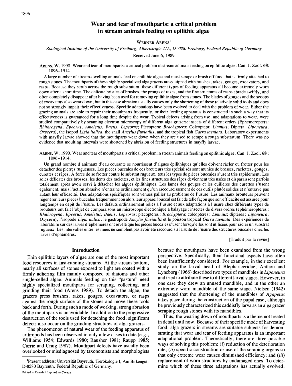 Wear and Tear of Mouthparts: a Critical Problem in Stream Animals Feeding on Epilithic Algae