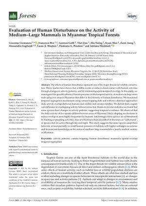 Evaluation of Human Disturbance on the Activity of Medium–Large Mammals in Myanmar Tropical Forests