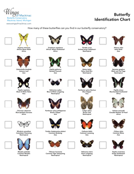 Butterfly ID Chart