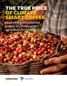 The True Price of Climate Smart Coffee