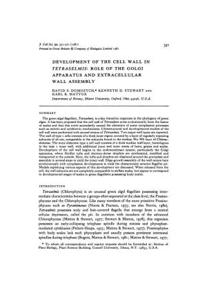 Role of the Golgi Apparatus and Extracellular Wall Assembly