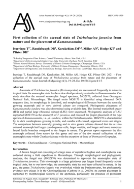 First Collection of the Asexual State of Trichaleurina Javanica from Nature and the Placement of Kumanasamuha