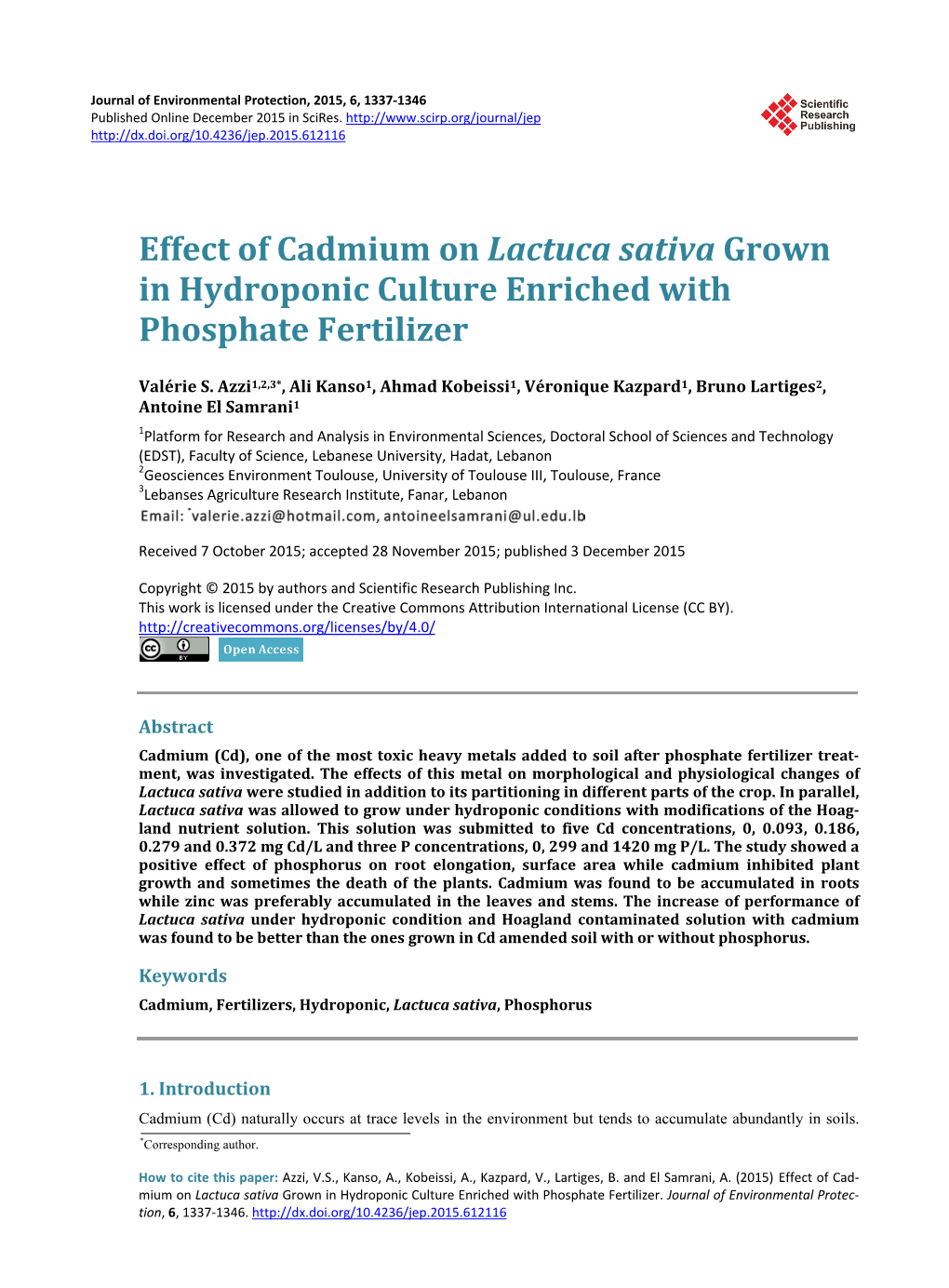 Effect of Cadmium on Lactuca Sativa Grown in Hydroponic Culture Enriched with Phosphate Fertilizer