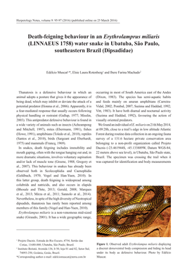 Death-Feigning Behaviour in an Erythrolamprus Miliaris (LINNAEUS 1758) Water Snake in Ubatuba, São Paulo, Southeastern Brazil (Dipsadidae)