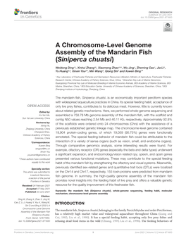 A Chromosome-Level Genome Assembly of the Mandarin Fish (Siniperca Chuatsi)