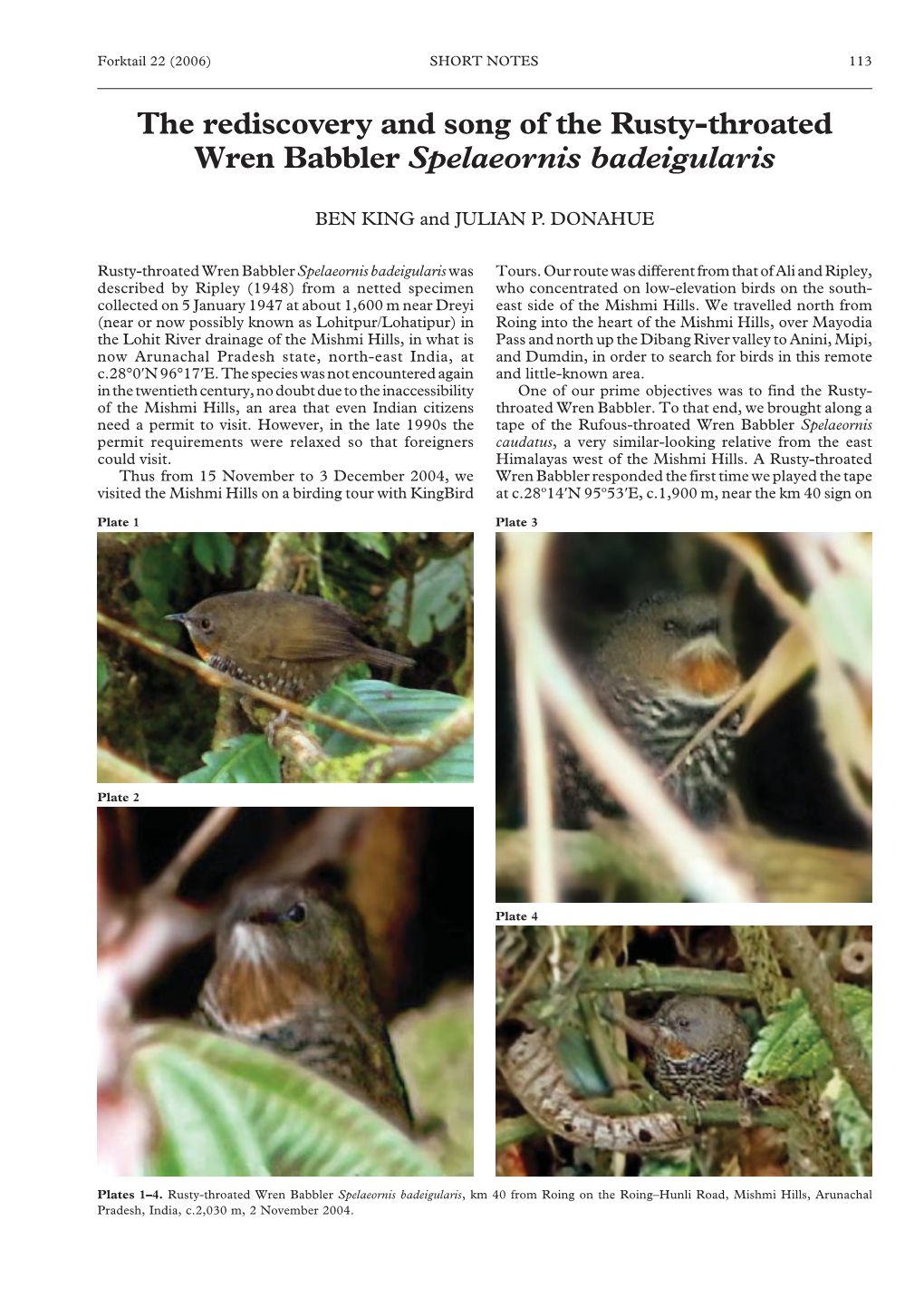 The Rediscovery and Song of the Rusty-Throated Wren Babbler Spelaeornis Badeigularis
