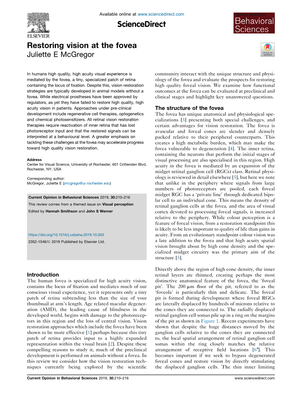 Restoring Vision at the Fovea