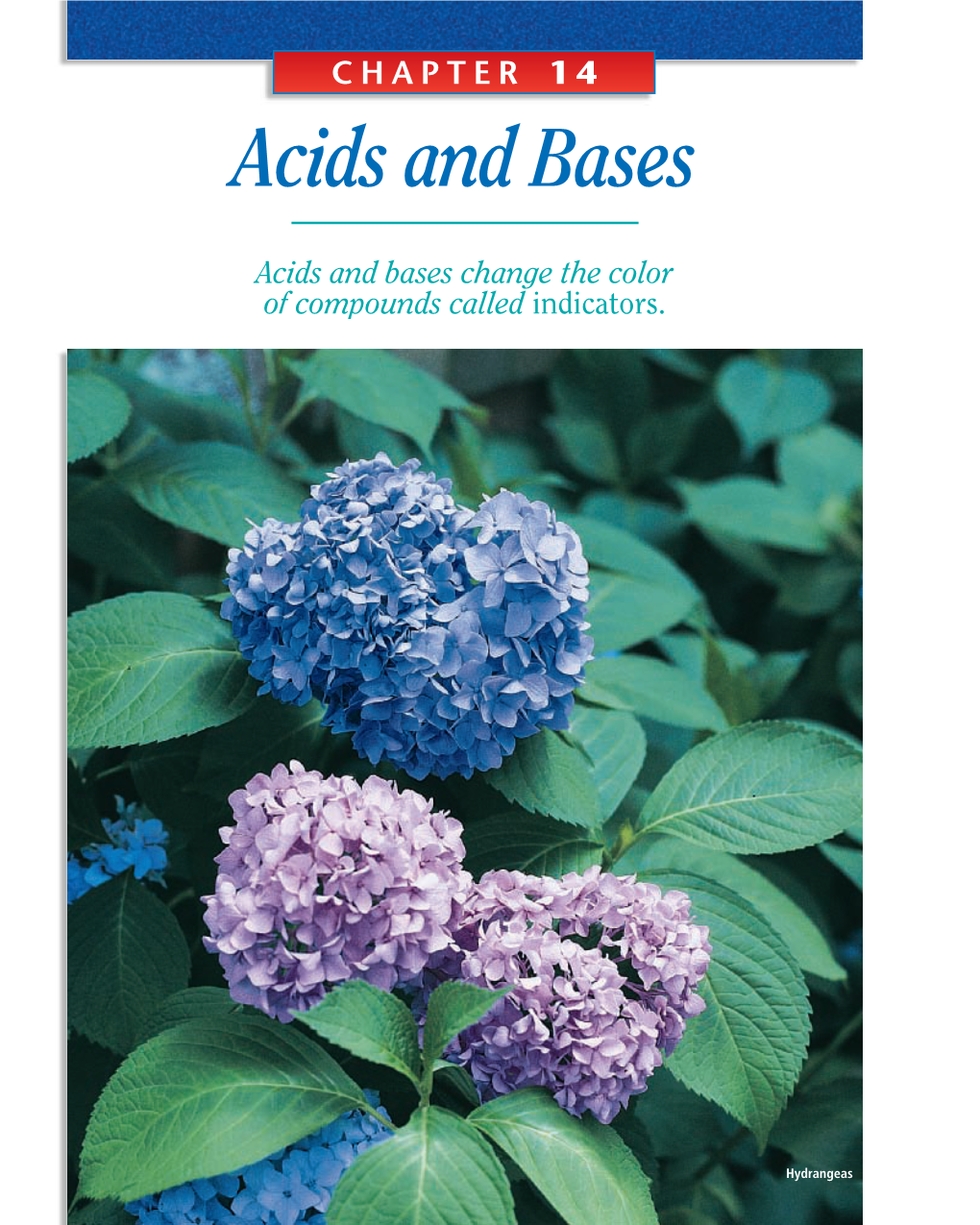 Brønsted-Lowry Acids and Bases the Brønsted-Lowry Definition