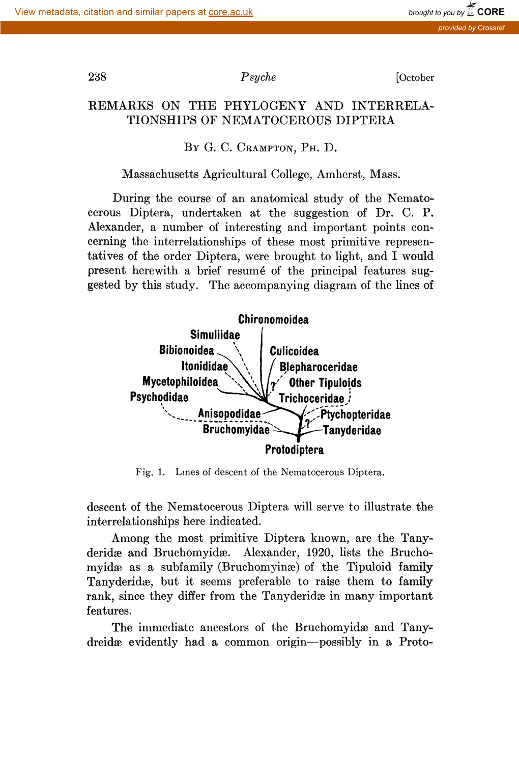 I/B,Lepharoceridae Mycetophiloidea.,.,J.?.'" Other Xipuloids Psychodidae -:"'" Trichoceridae "