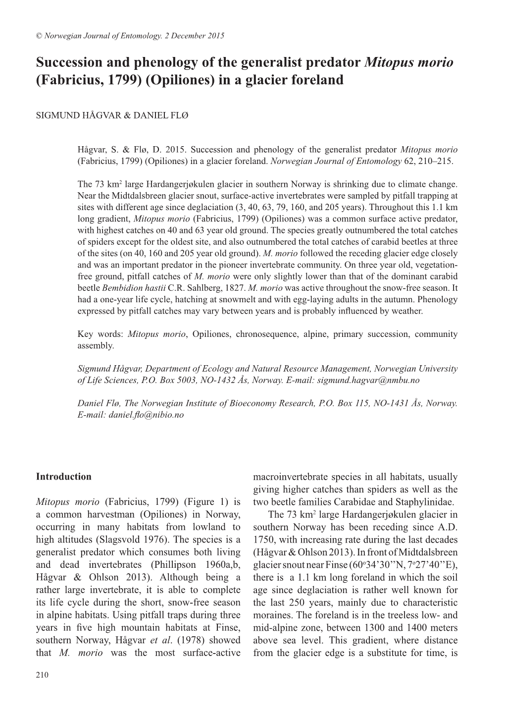 Succession and Phenology of the Generalist Predator Mitopus Morio (Fabricius, 1799) (Opiliones) in a Glacier Foreland