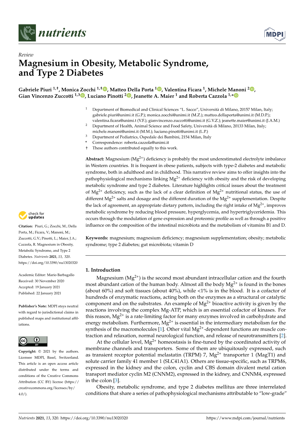 Magnesium in Obesity, Metabolic Syndrome, and Type 2 Diabetes